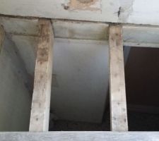 Plancher à refaire suite dégât des eaux chronique.