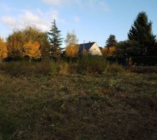 D&eacute;brousaillages