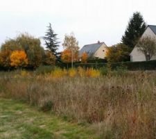 D&eacute;brousaillages