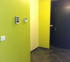 Peinture Entrée / Porte de placard à poser