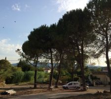 Travaux du lotissement
