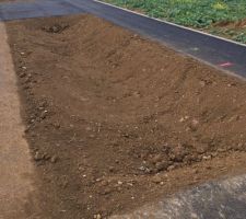 Emplacement arbres le long de la route ch&egrave;vre haie &agrave; pouilly