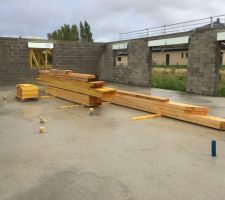 La livraison de la charpente était prévu cette semaine, ils ont tenu paroles, ils ont même livres lundi début de semaine alors que lon cdt m'avait dit que se serait peut être fin de semaine.
J'espère qu'ils vont démarrer la pose demain maintenant.