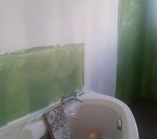 Préparation murs