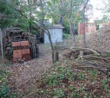 Gros travail dans le jardin, abattage de mur, nettoyage de toutes les ronces...