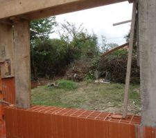 Vue sur le jardin depuis la fenêtre de la cuisine? enfin quand on aura viré tous les déchets végétaux!!!