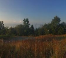 Le terrain