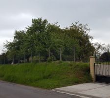 Terrain vue de la rue