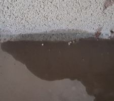 On regarde un peu le Placo au sous sols afin de s assurer que la maison soit étanche avec le crépi car on a encore une nouvelle infiltration d eau.
Sérieusement sans jeux de mots c est la goutte qui fait déborder le vase.