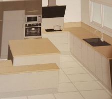 Plan de la cuisine plan de travail en bois et façade grise