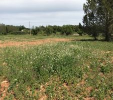 Visite du terrain du 19/04/17