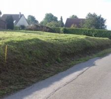 Détail terrain
