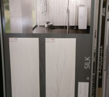 Faïence Steuler|Design Kollektion Silk en white satin chez Aubade
