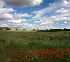 Vue sur les moulins de Régusse