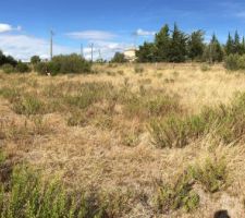 Photos du terrain : 1 500 m&sup2;
Vue sur nos ch&egrave;res corbi&egrave;res