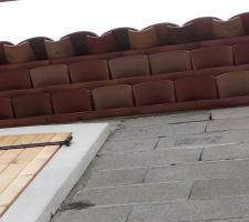 Génoises patefeuilles