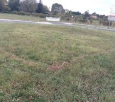 Implantation de la maison