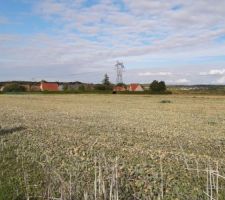 Vue du terrain après la moisson et avant le démarrage des travaux de viabilisation