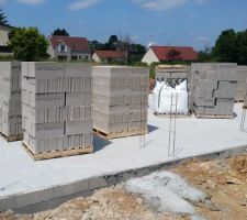 Vide sanitaire