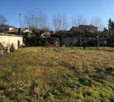 Terrain lors de nos premières visites avec les 4 platanes