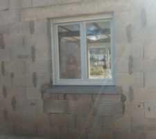 Je ne sais pas trop quoi en penser