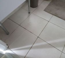 Dégât des eaux.