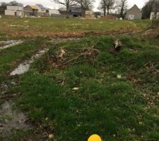 Vue depuis le terrain, une maison sera pr&eacute;sente de ce c&ocirc;t&eacute;. Nos seuls voisins de parcelle.