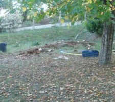 La partie médiane du jardin