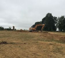 Premier coup de pelle