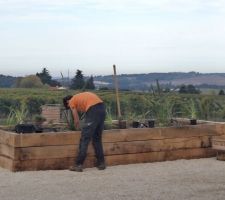 Ma....occupé a planter dans les jardinières