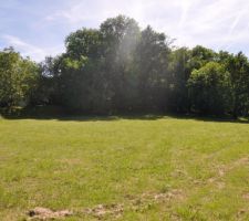 Vue depuis le fond du terrain