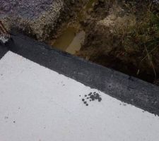 Barrière Anti-termites