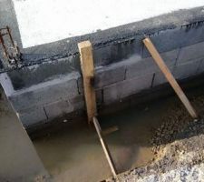 Barrière anti-termites