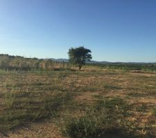 Terrain 700 m2 puimisson (Hérault)