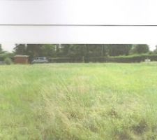 Voila nous somme dans l'angle au fond &agrave; gauche quand on regarde le terrain de face 
d'Alleur on voie la route an fond de la photo

et vous pouvez visualis&eacute; la diagonal du terrai qui va jusqu'&agrave; la cabane que vous voyez au fond