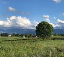 Vue sud du terrain