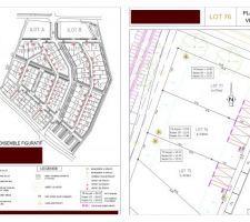 Implantation du terrain