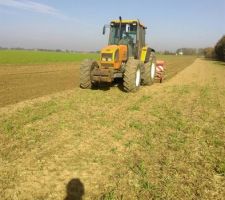 Semis du raygrass et tr&egrave;fles