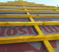 Charpente industrielle du toit 4 pans principal. Ecran sous couverture