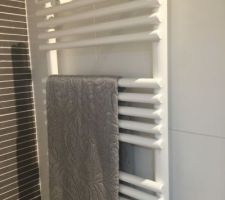 Radiateur sèche serviettes pour les lots