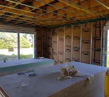 Mise en place des rails pour placo + elec et plomberie