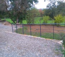 Pelouse nord / fosse septique