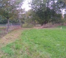 Terrain EST
d&eacute;frichage bordure du terrain