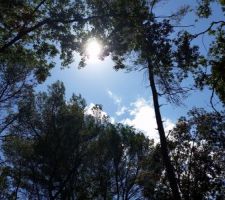 De plus en plus de ciel bleu
