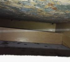 Etat de l'OSB (présence de champignons)