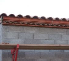 Génoises à l'arrière de la maison