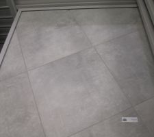 Carrelage pièce à vivre