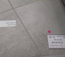 Carrelage pièce à vivre