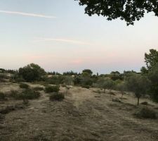 Notre terrain avant travaux