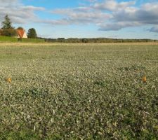 Implantation des futures voiries